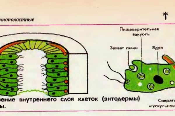 Кракен ссылка vtor