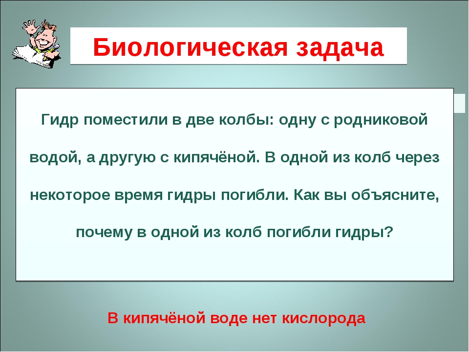 Как вывести деньги с кракена маркетплейс