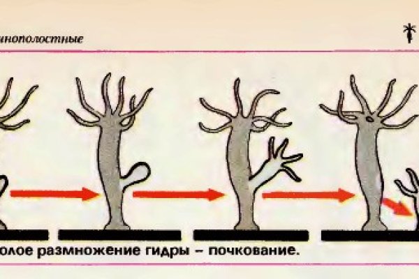 Купить наркотики через кракен