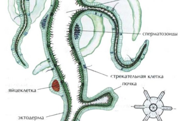 Как зайти в кракен