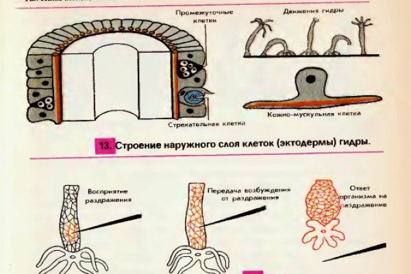 Ссылка кракен магазин